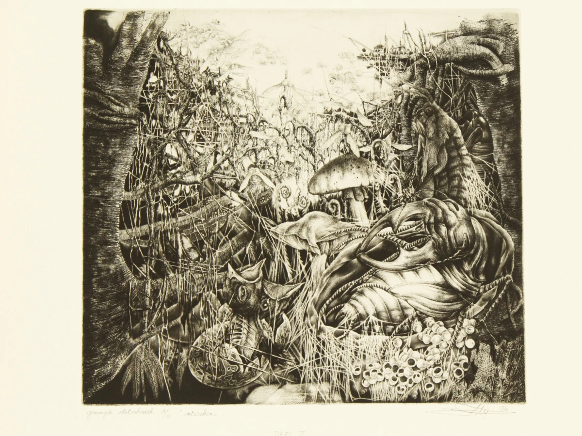 Hugo Bésard (°1955) grafische reeks A/E  "Het vijfde seizoen" 1984 - foto 8