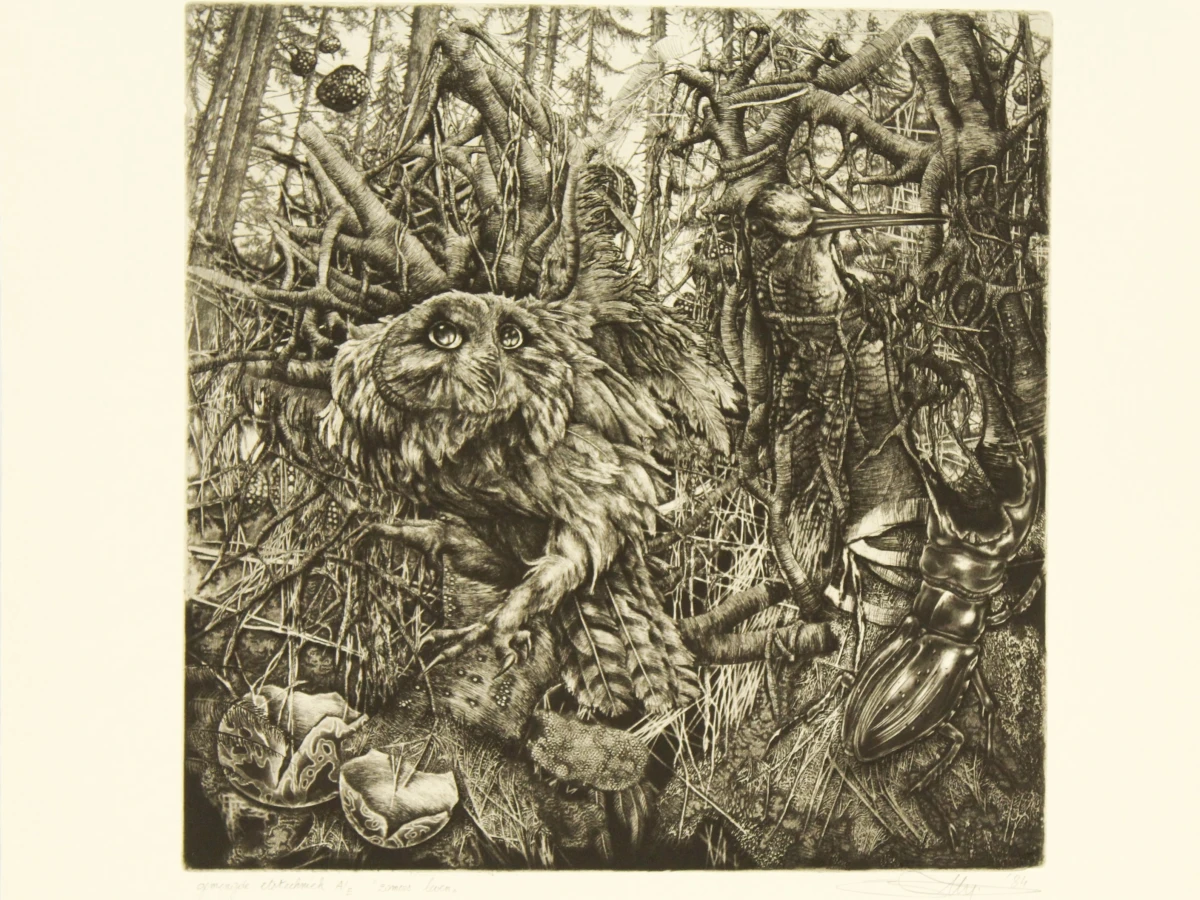 Hugo Bésard (°1955) grafische reeks A/E  "Het vijfde seizoen" 1984 - foto 10