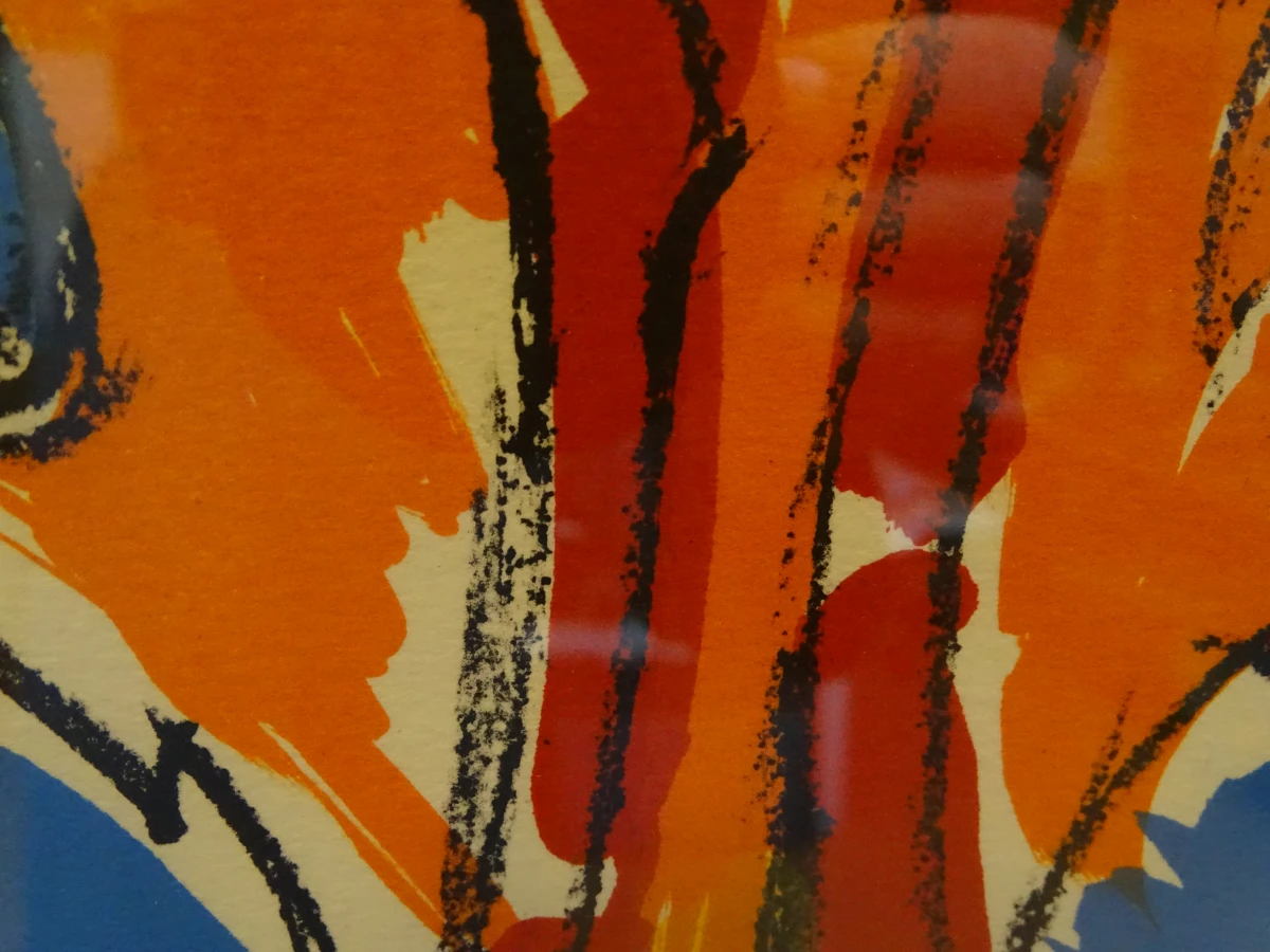 Gesigneerde litho van Maurice Wyckaert - foto 5