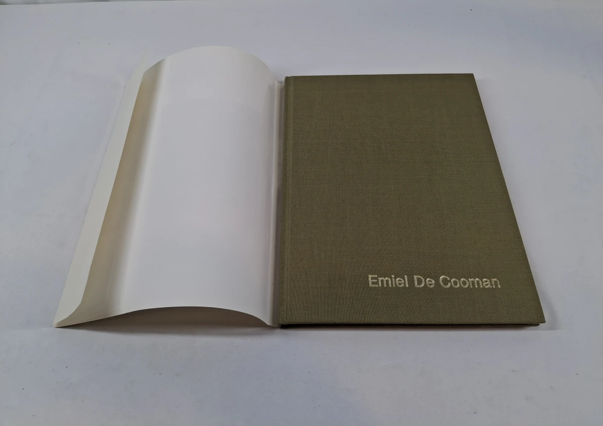 Boek over kunstenaar Emiel De Cooman - foto 2