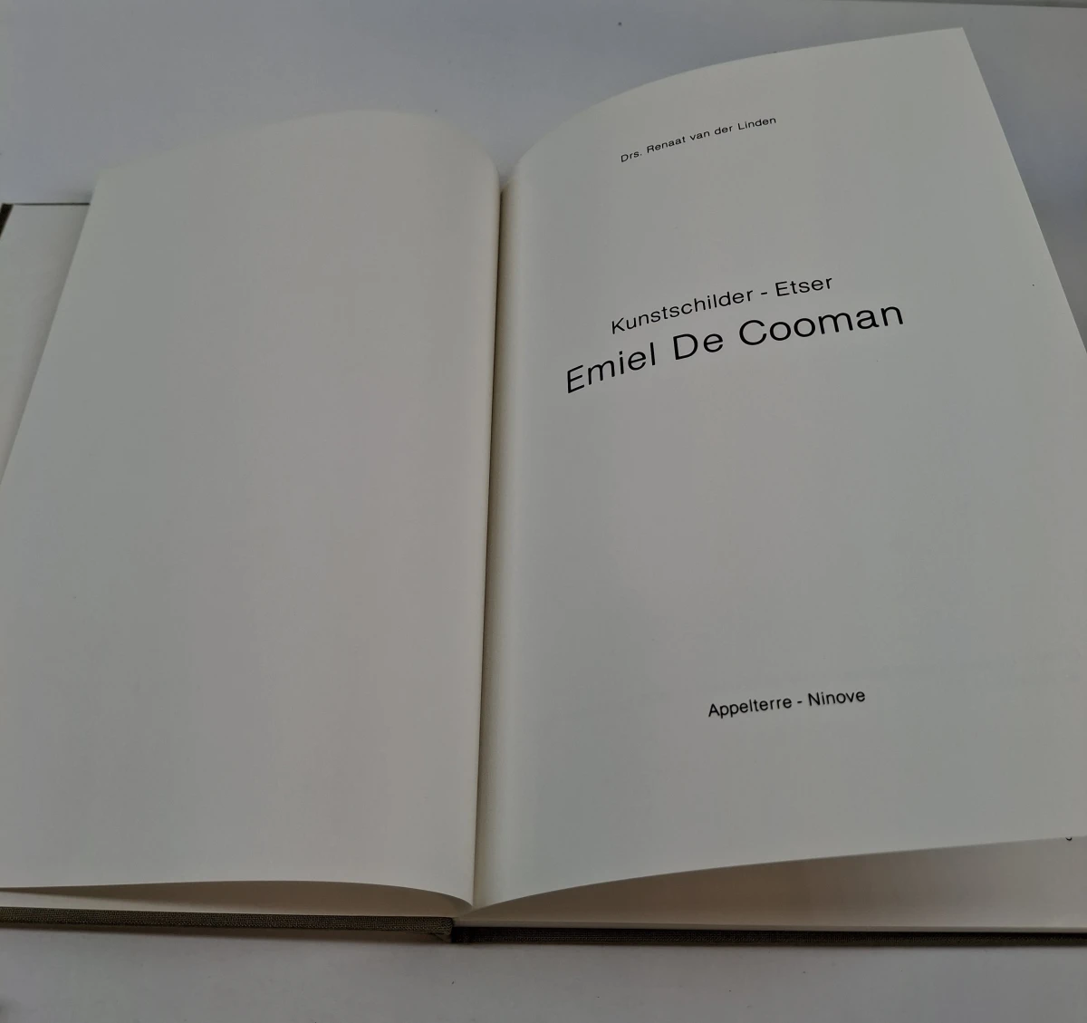Boek over kunstenaar Emiel De Cooman - foto 3