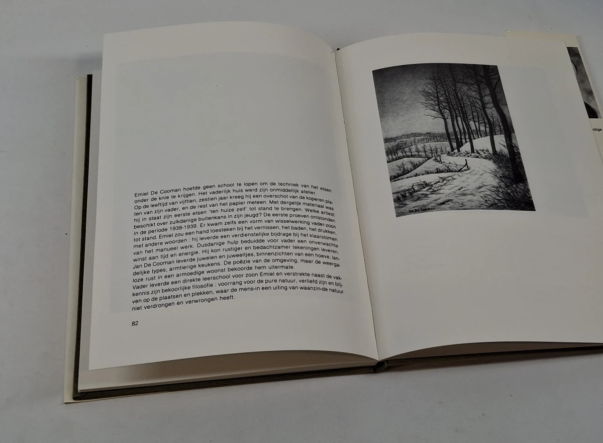 Boek over kunstenaar Emiel De Cooman - foto 5