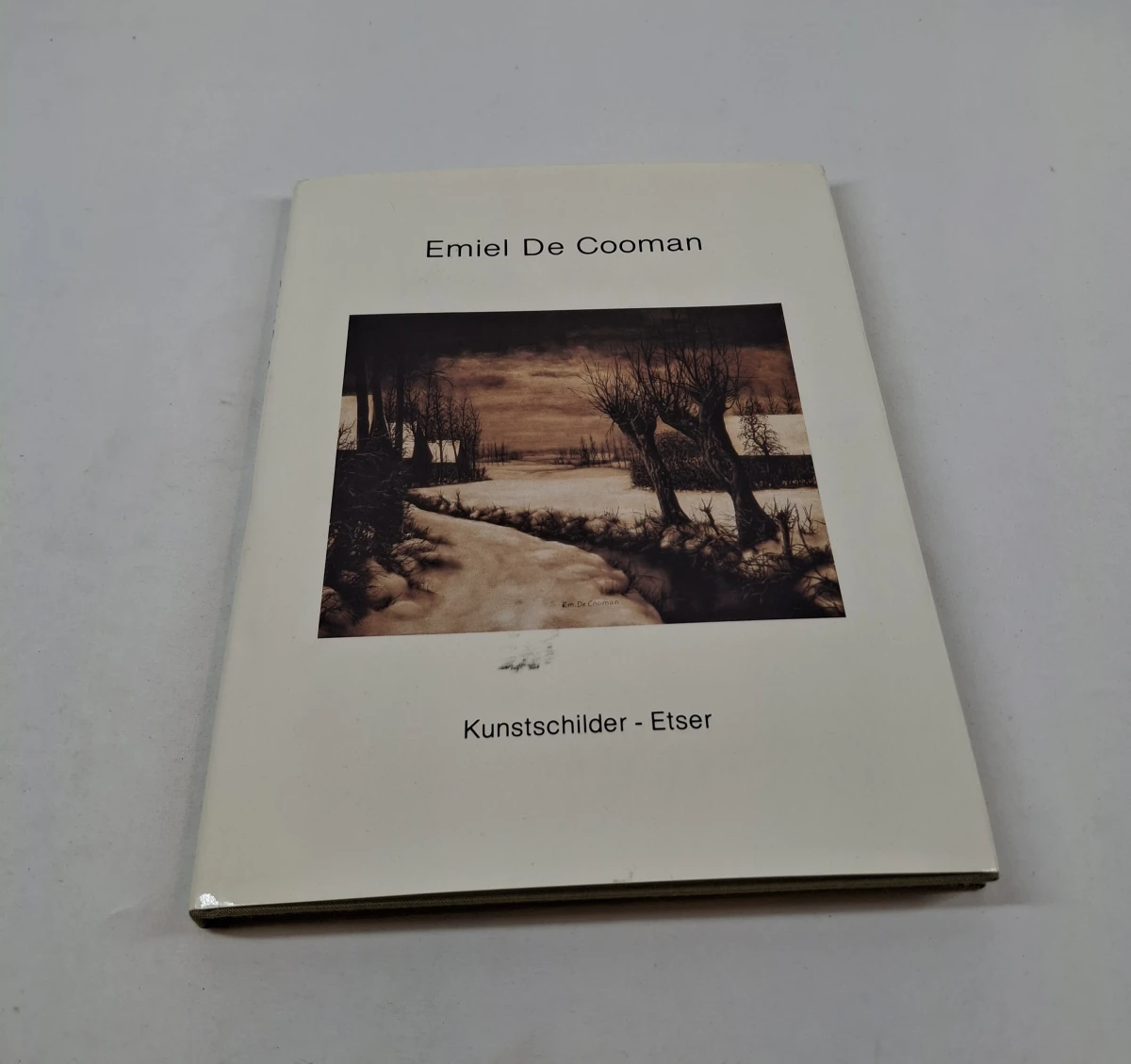 Boek over kunstenaar Emiel De Cooman – kavel bij De Kringwinkel, Geraardsbergen