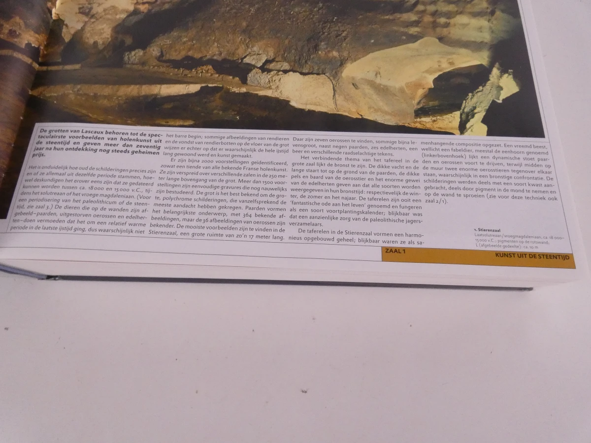 Het Wereldmuseum van de Kunst - Kunstboek - foto 12