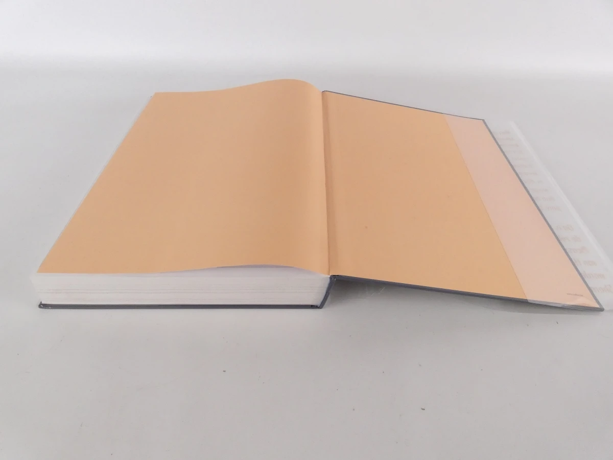 Het Wereldmuseum van de Kunst - Kunstboek - foto 14
