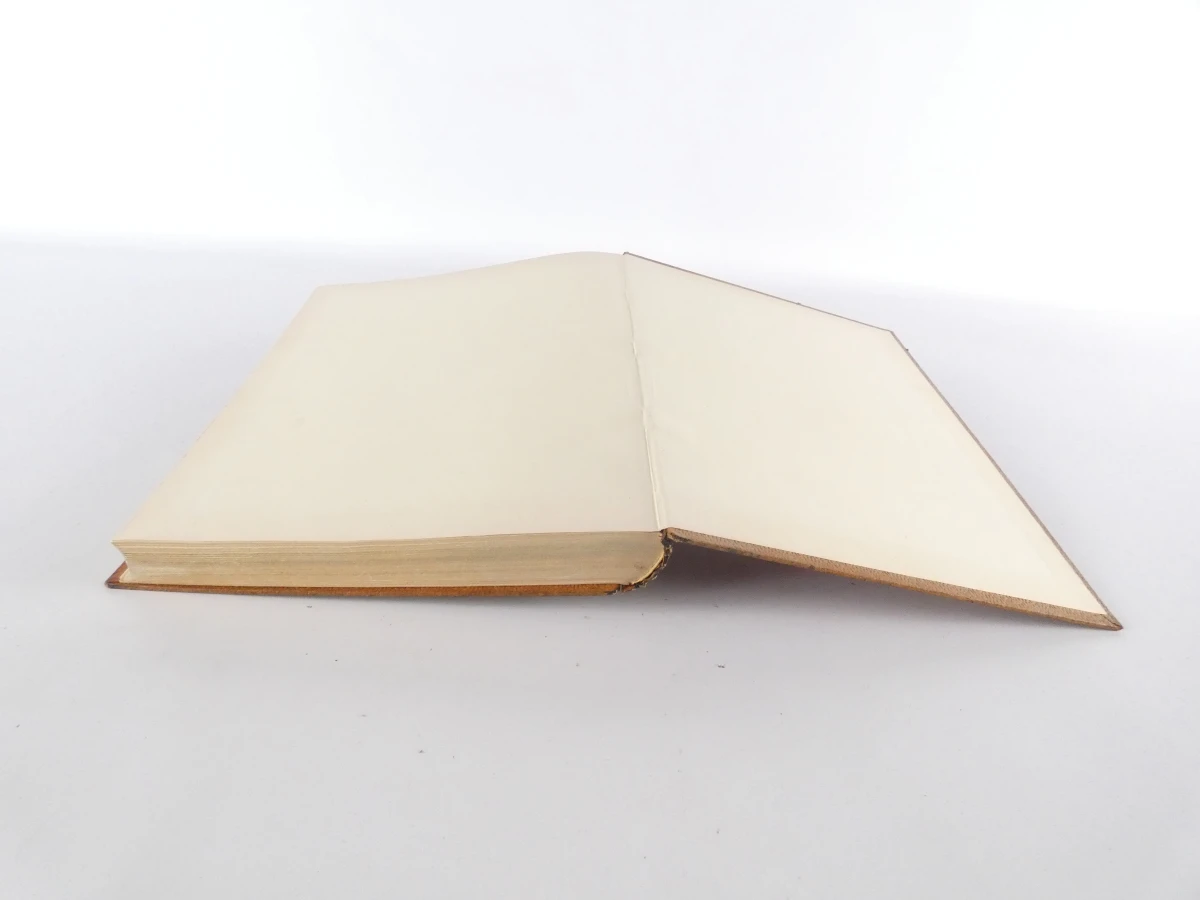 Boek Héros et Martyrs 1940-45 Les Fusillés - foto 28