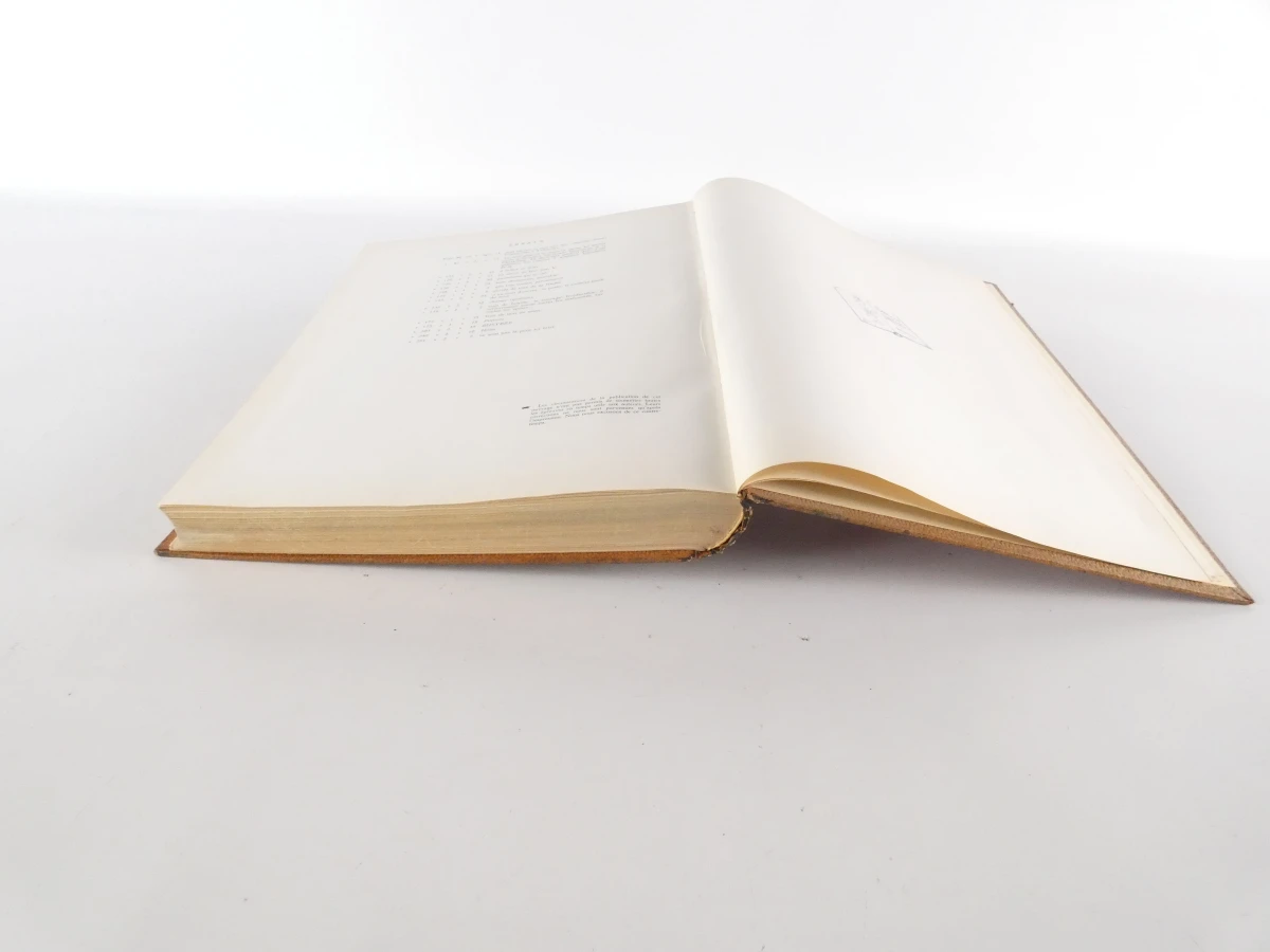Boek Héros et Martyrs 1940-45 Les Fusillés - foto 35
