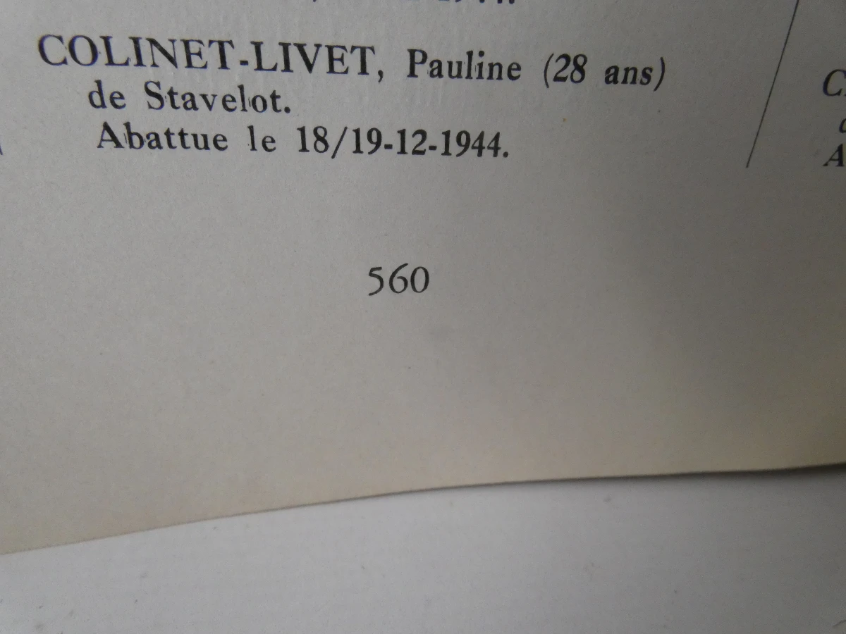 Boek Héros et Martyrs 1940-45 Les Fusillés - foto 43