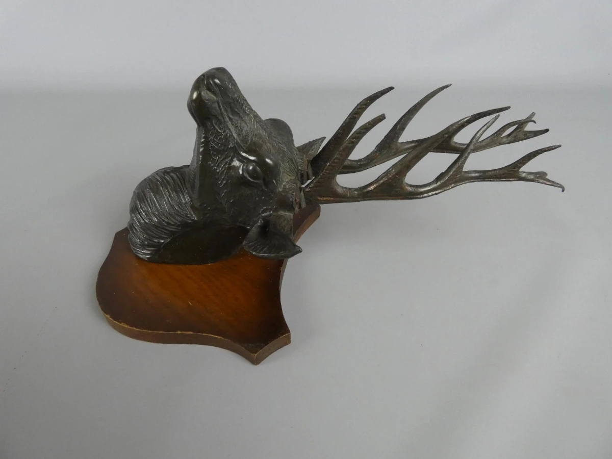 Wandtrofee hertenhoofd - foto 5