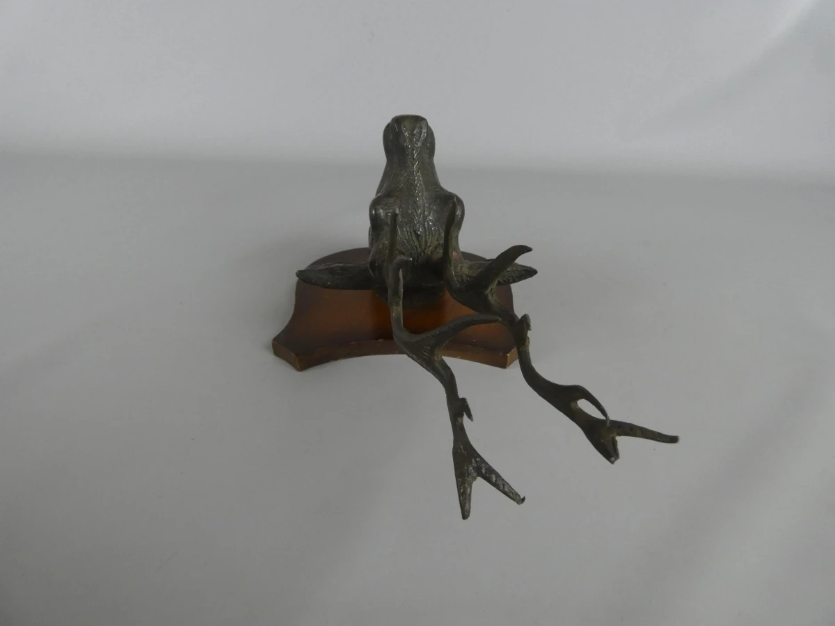 Wandtrofee hertenhoofd - foto 4