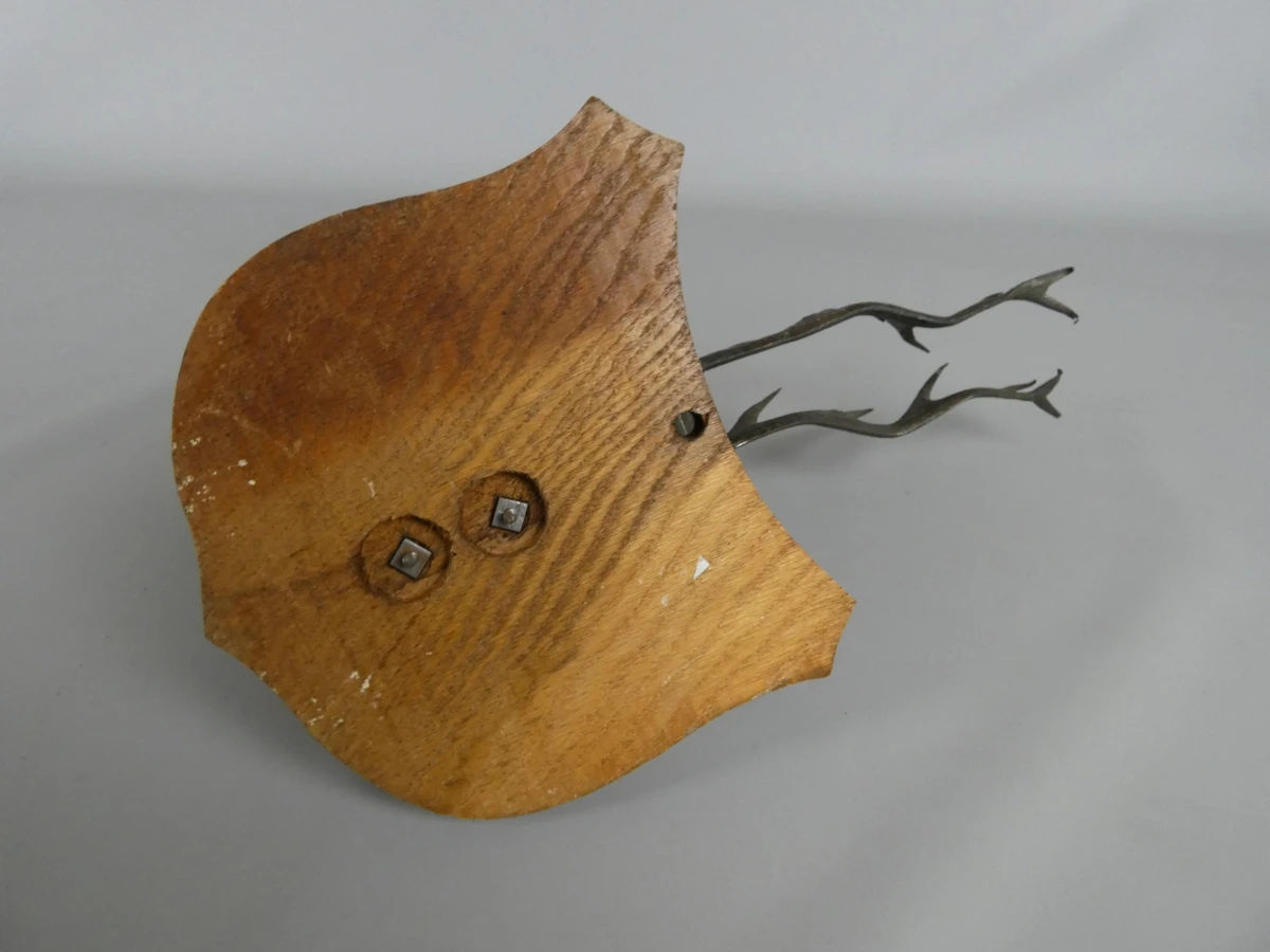 Wandtrofee hertenhoofd - foto 6