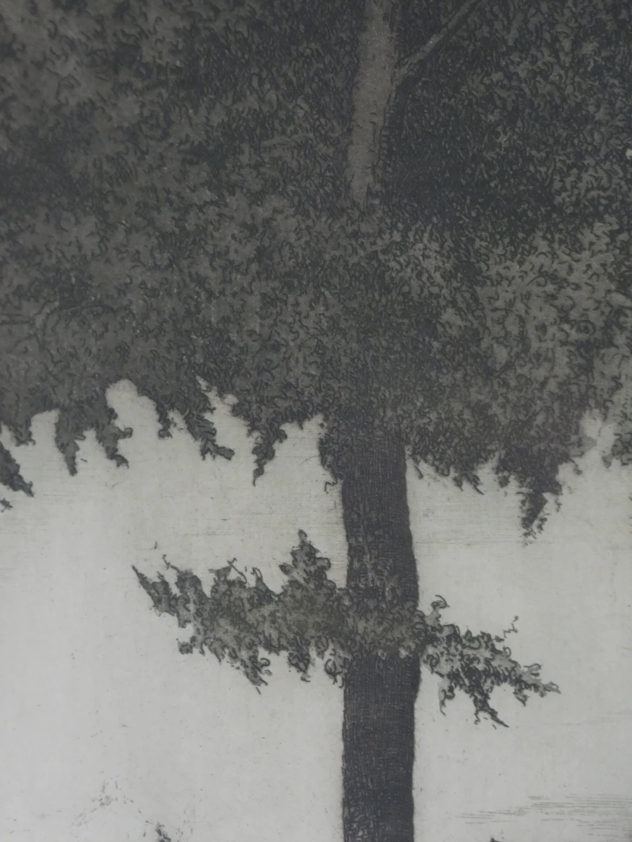 Ingelijste litho 'Veldweg' - foto 5
