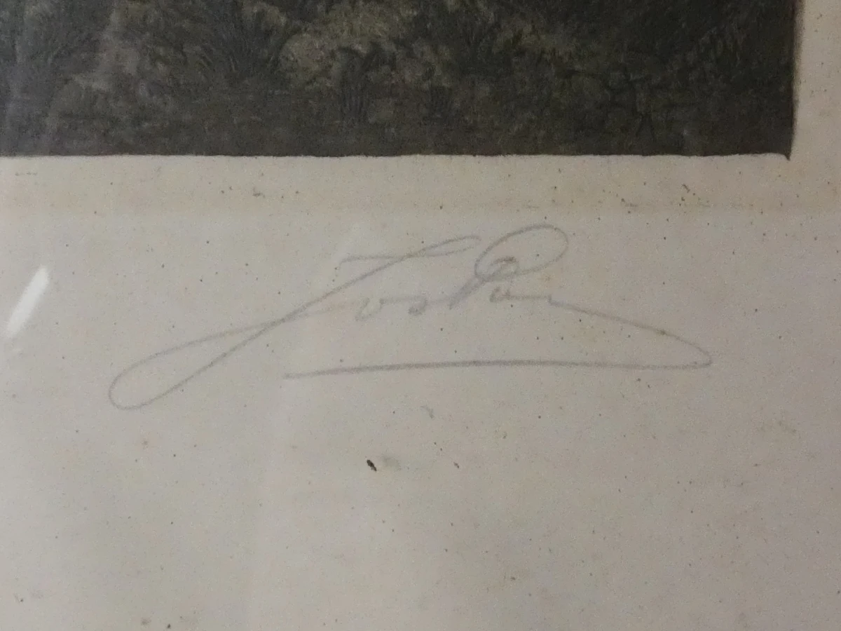 Ingelijste litho 'Veldweg' - foto 7