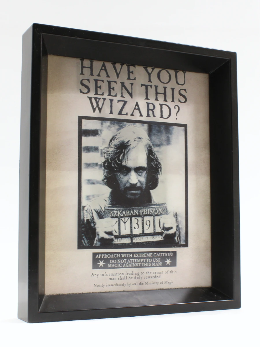 Harry Potter & Sirius | 3D Frame - foto 2