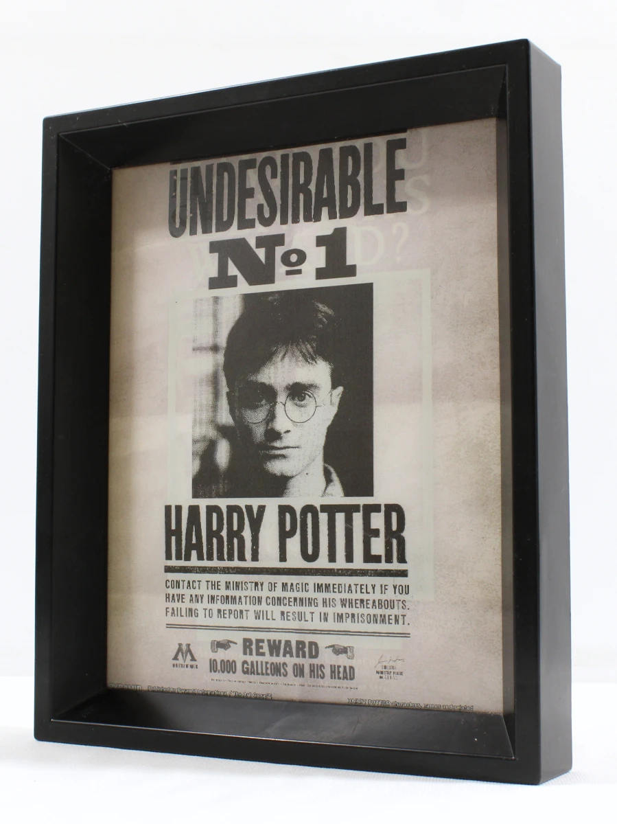 Harry Potter & Sirius | 3D Frame - foto 3