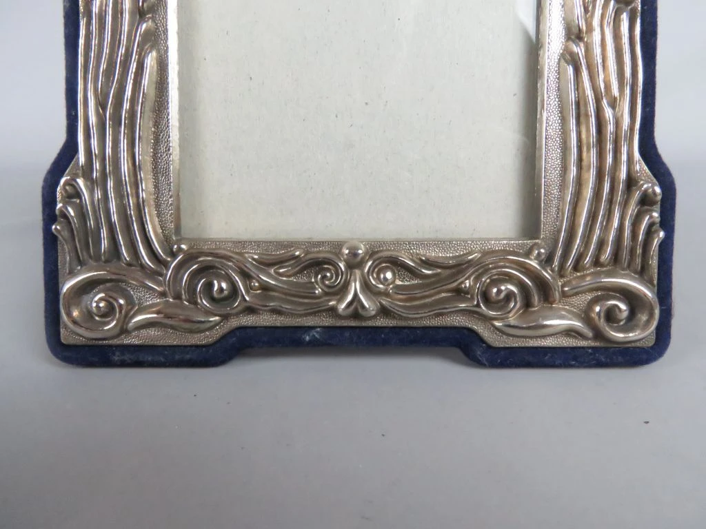 Decoratieve fotolijst met zilverkleurige rand en fluwelen achterkant - foto 4