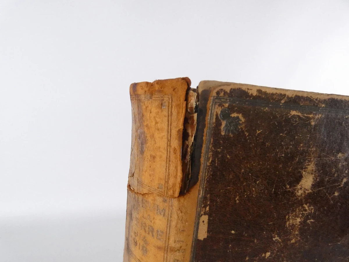 Oude boeken Album de la Guerre 1914-1918 met illustraties - foto 5