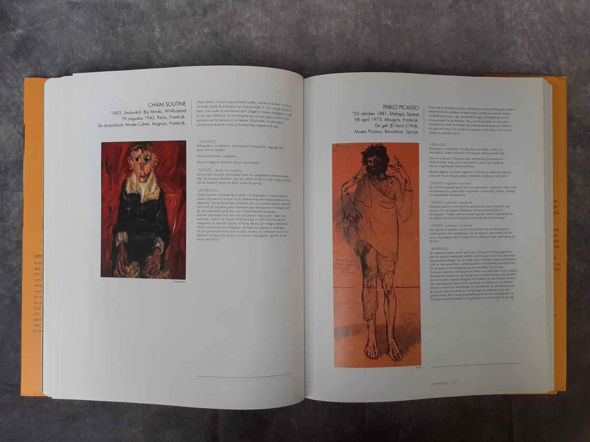 Boek: De Kunstenaar en de Dokter - foto 4