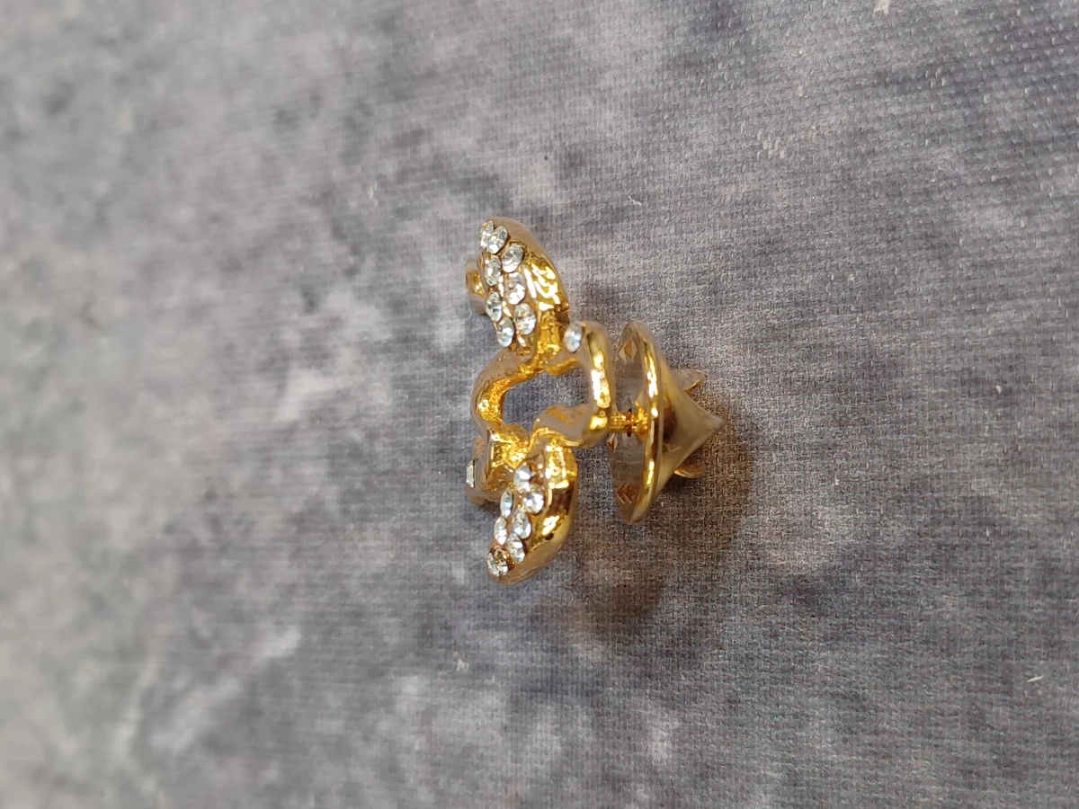 Set van 2 vintage diervormige broches en pins met strass-stenen - foto 11