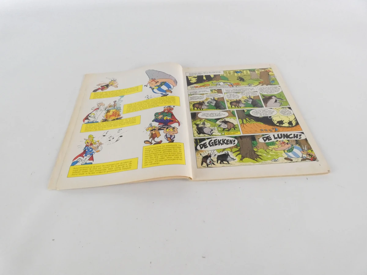 Set van 10 vintage Asterix-stripalbums - foto 35