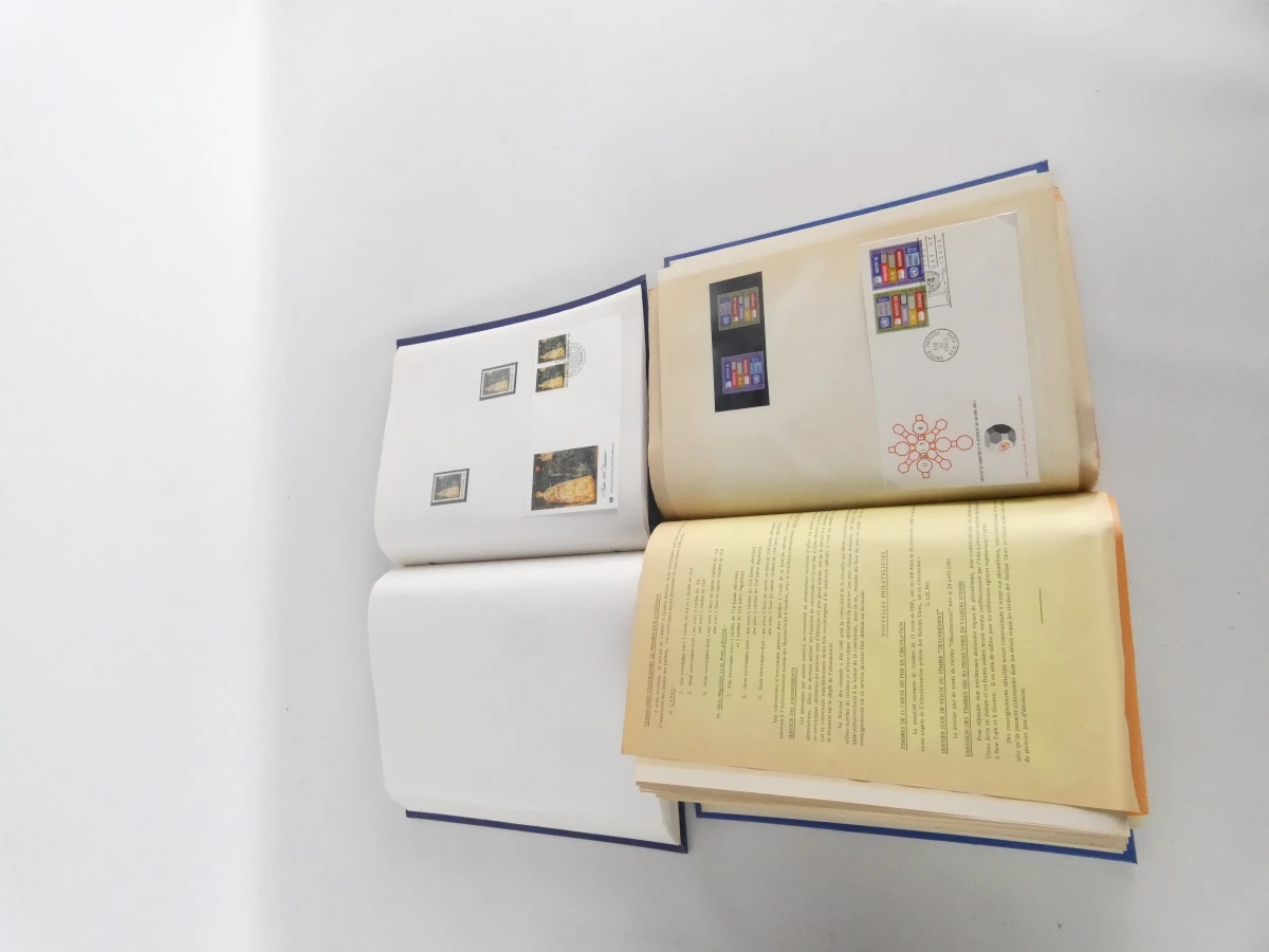 De grootste postzegelverzameling tot nu toe, albums en enveloppen - foto 19