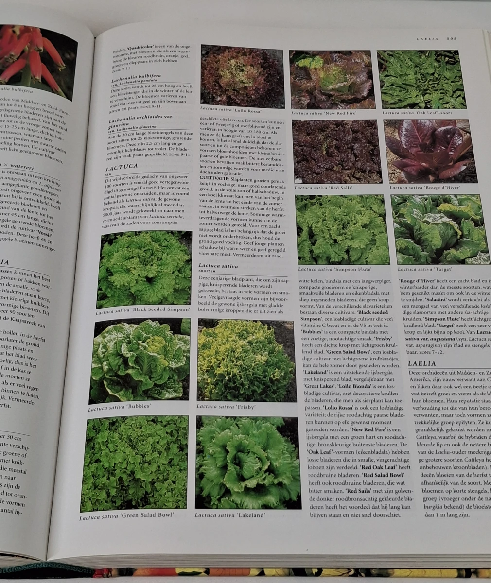 Botanica tuinplanten encyclopedie met illustraties - foto 8