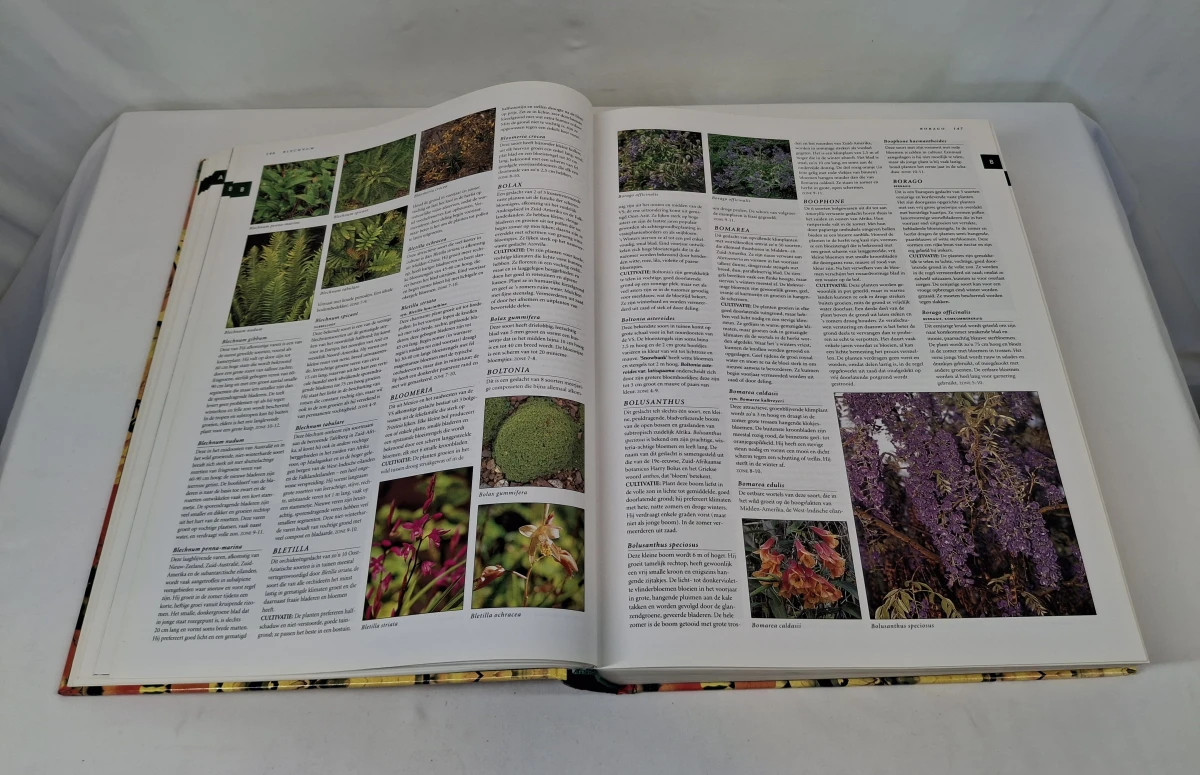 Botanica tuinplanten encyclopedie met illustraties - foto 7