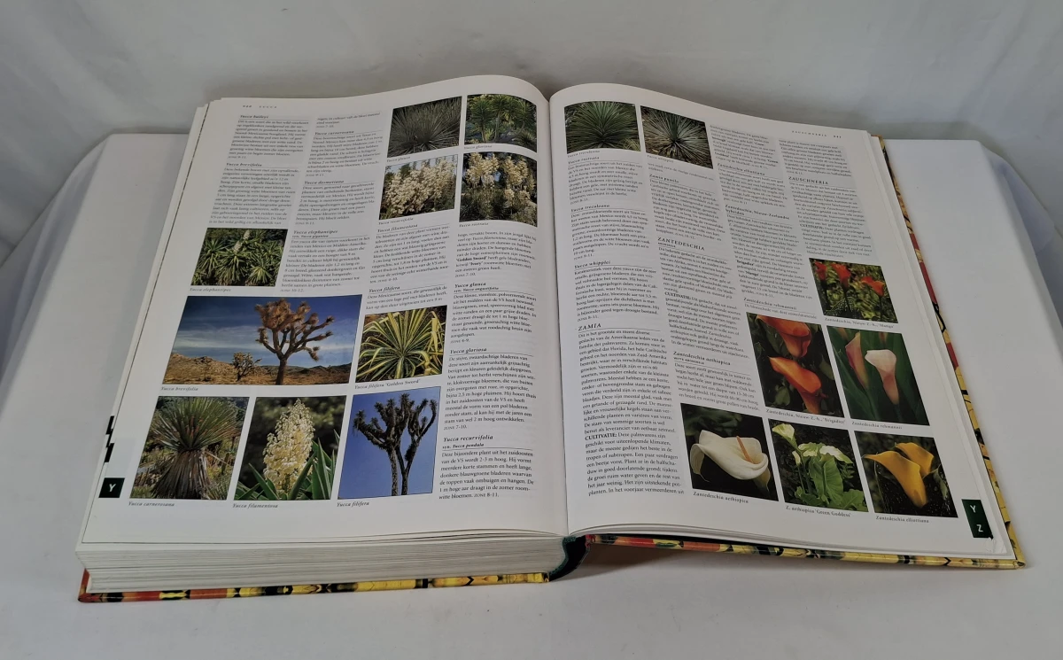 Botanica tuinplanten encyclopedie met illustraties - foto 9