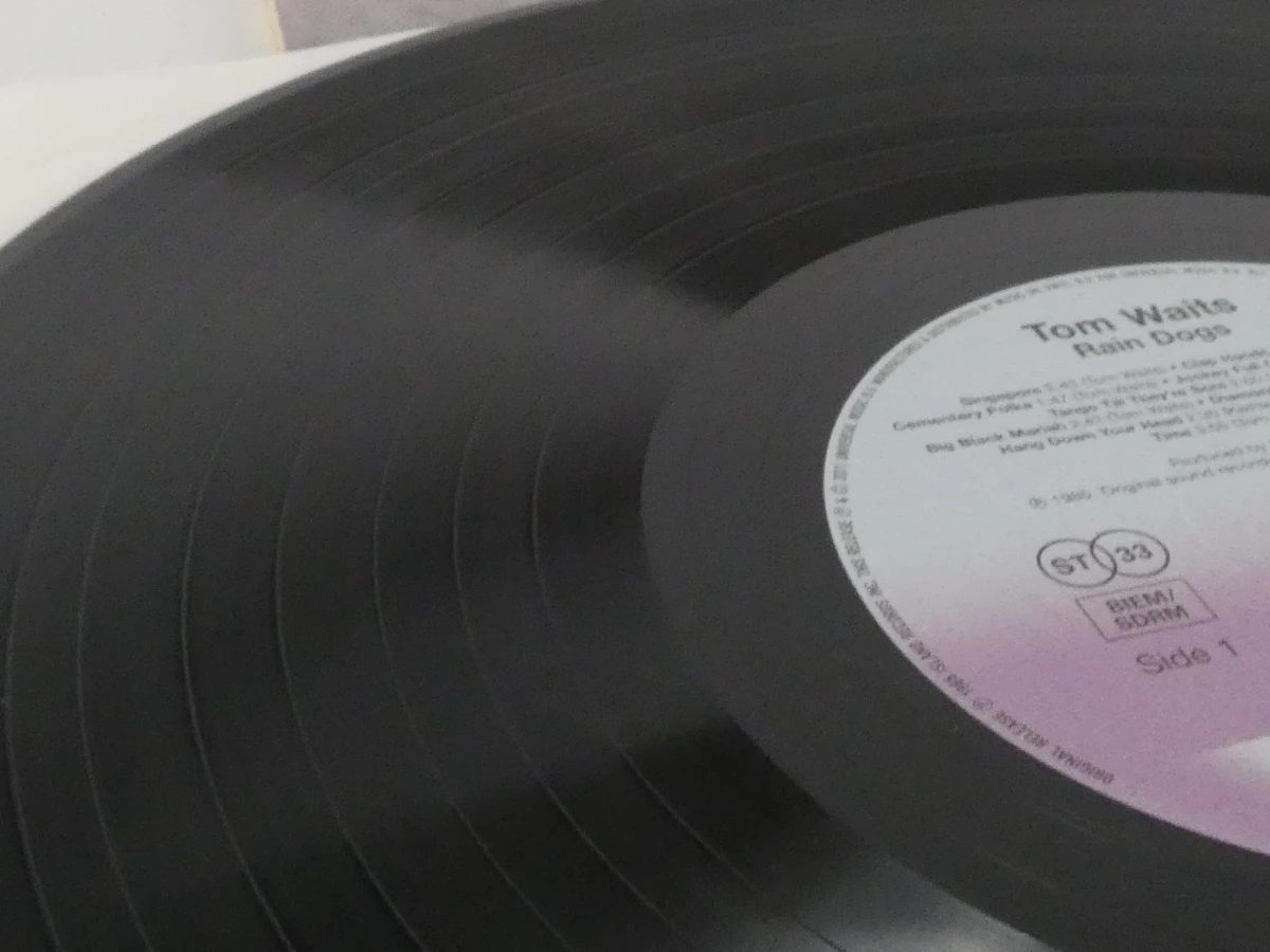 Vinylplaat Tom Waits – Rain Dogs – originele albumhoes - foto 5