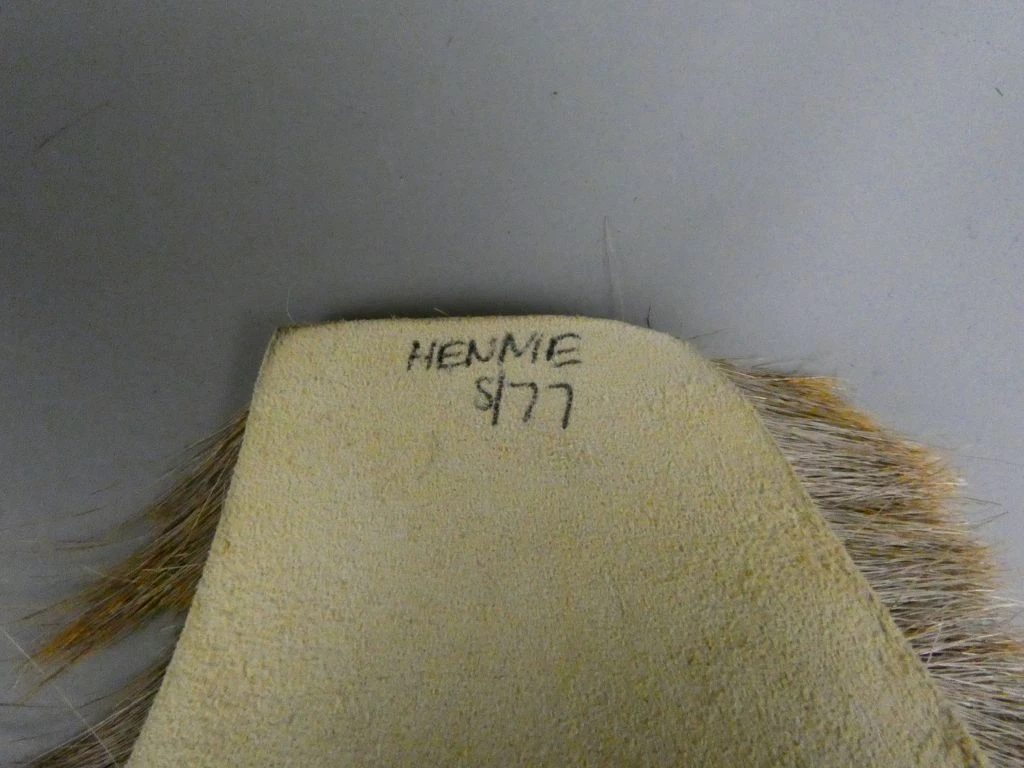 Dierenhuid met vacht - foto 3