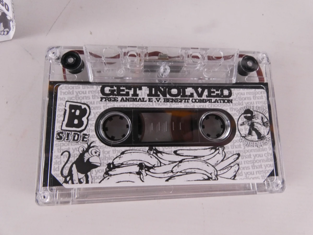 Set van 3 punk- en hardcore-audiocassettes - foto 9