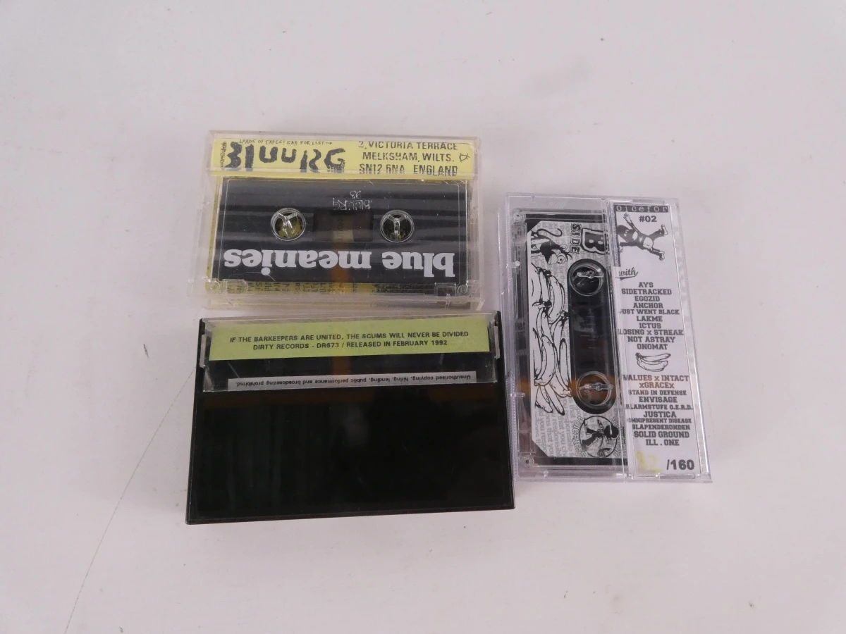 Set van 3 punk- en hardcore-audiocassettes - foto 15