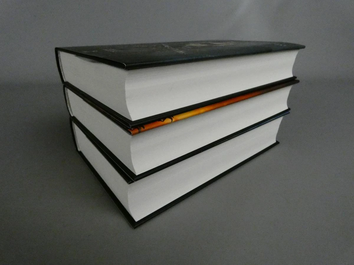 3 Boeken de kronieken van de verrezen wereld - foto 11