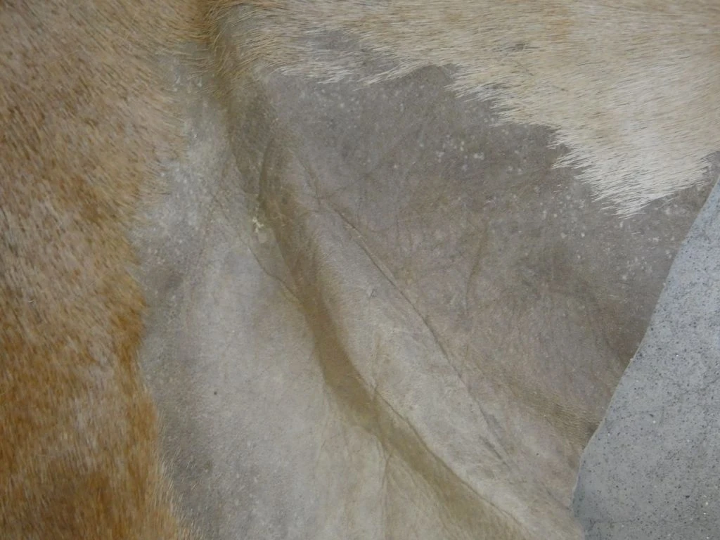 Gevlekt dierenhuid vloerkleed - foto 2