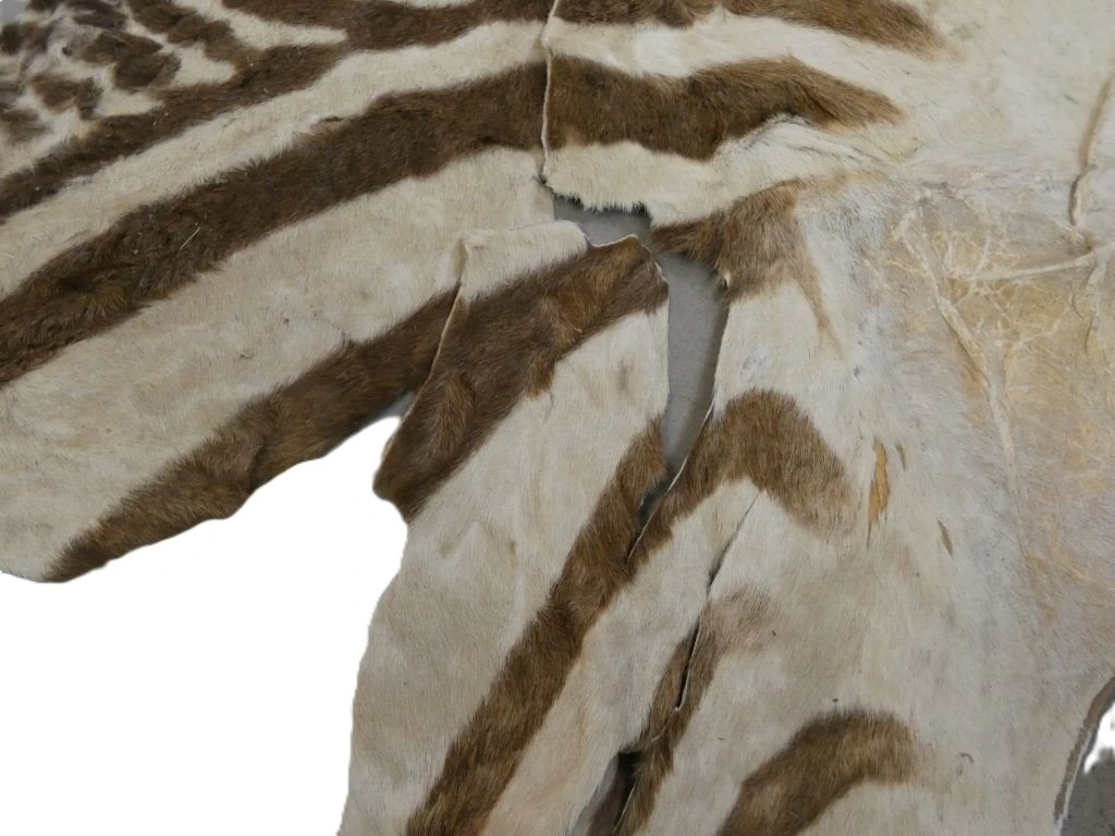Zebra huid met strepen, decoratief stuk - foto 2