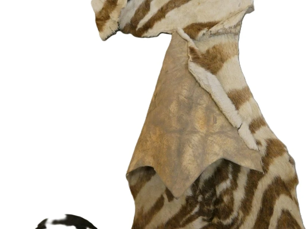 Zebra huid met strepen, decoratief stuk - foto 3