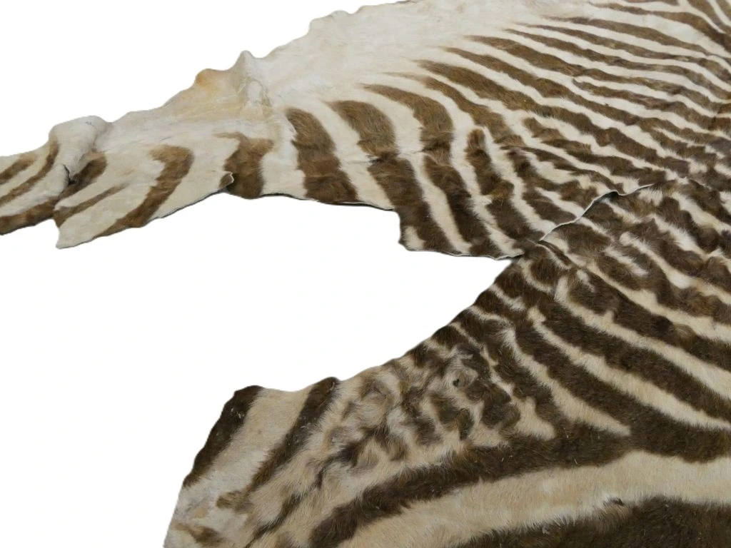 Zebra huid met strepen, decoratief stuk - foto 4