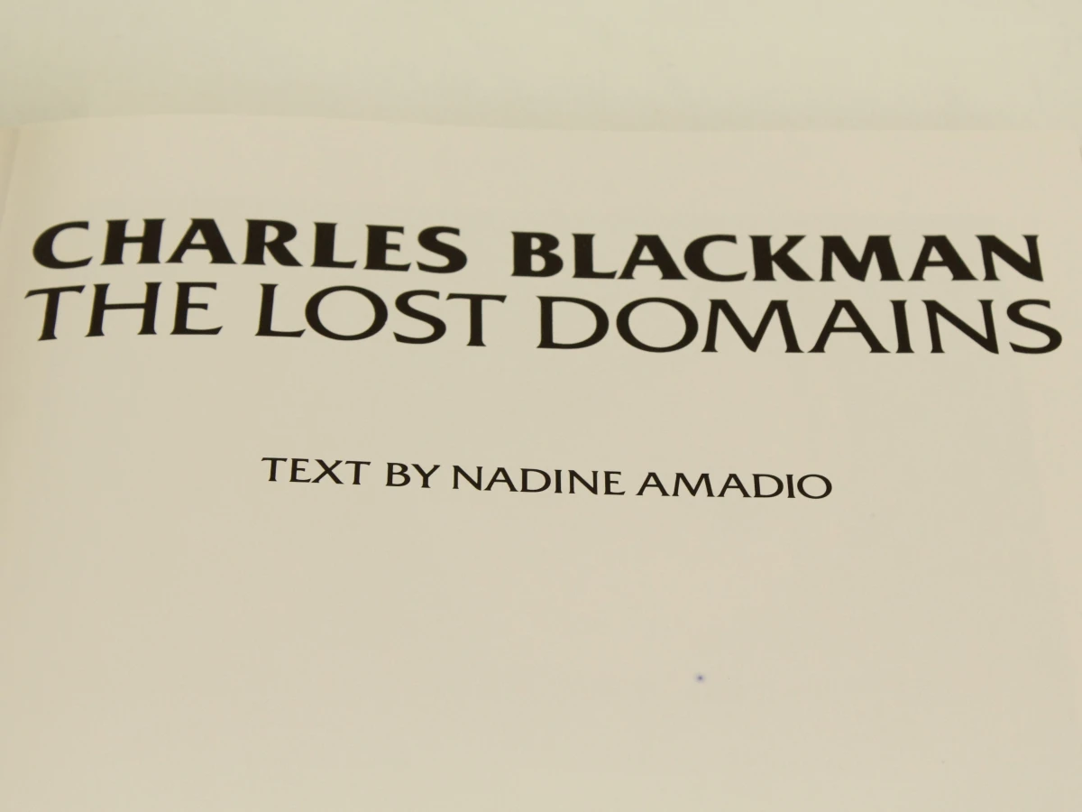 Charles Blackman – The Lost Domains – Nadine Amadio, 1982 - foto 5