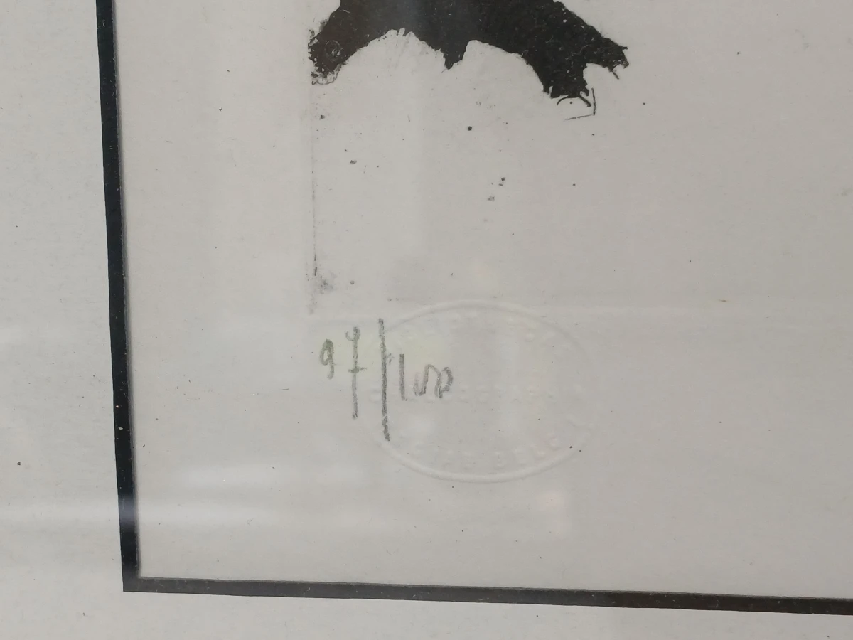 Ingelijste litho van een landschap met boerderijen en bomen - foto 4