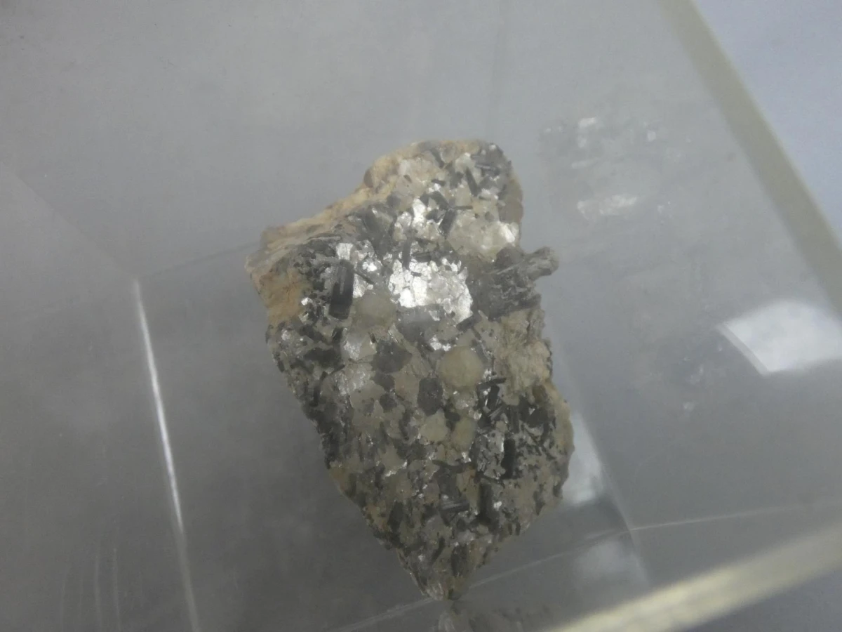 Mineralen- en fossieldisplays - foto 4