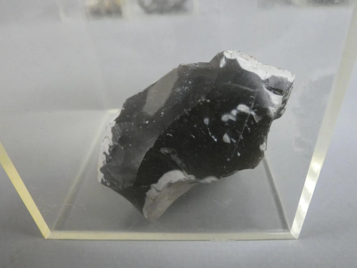 Mineralen- en fossieldisplays - foto 3