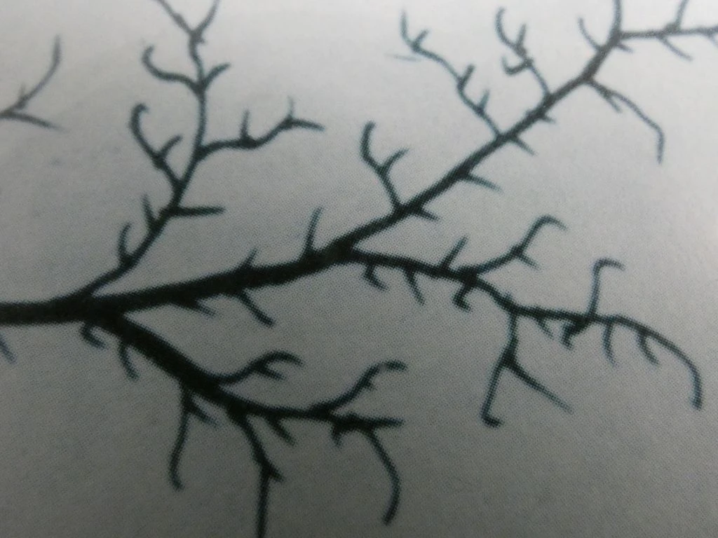 Ingelijste winterse landschapsprint van Ivan Lackovic - foto 5