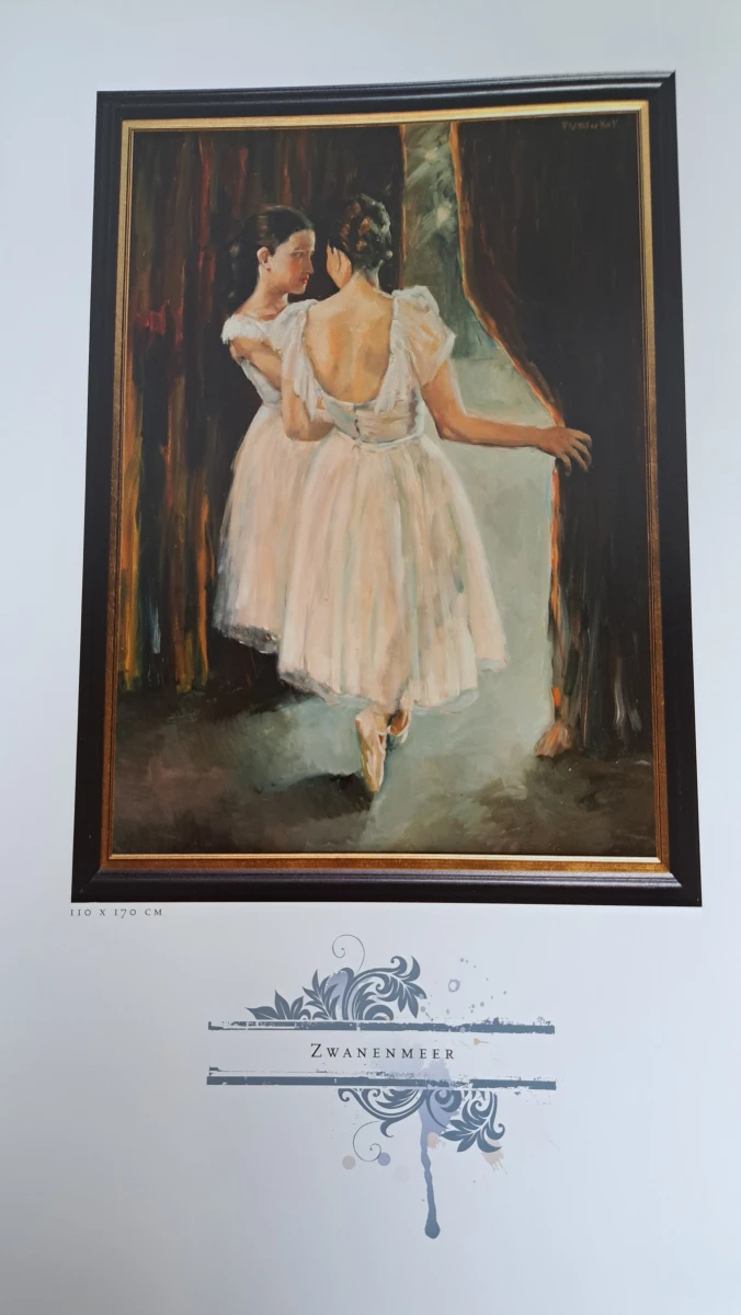 Boek 'Vrouwen' met kunstafbeeldingen van Frans de Kok - foto 7
