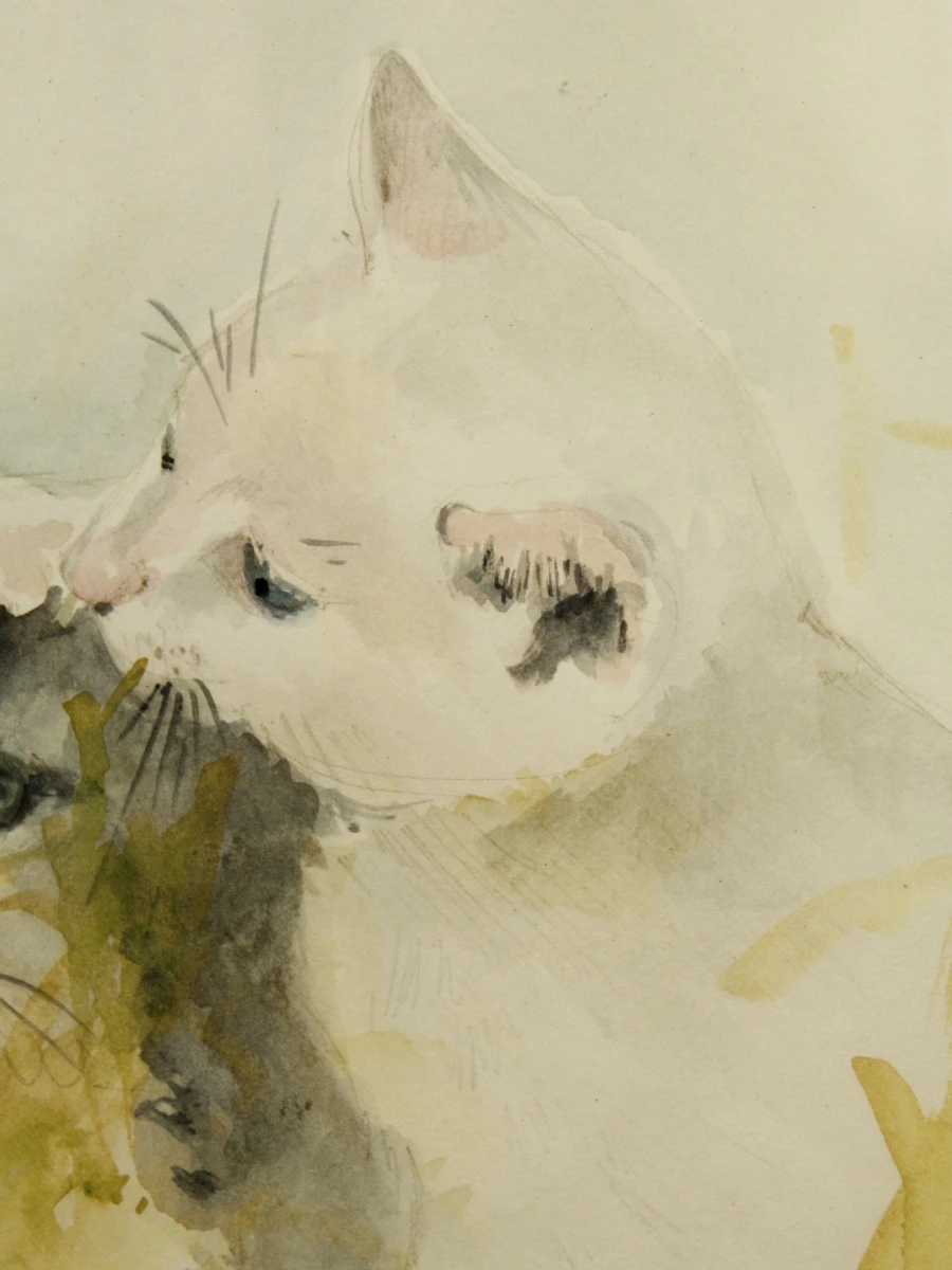 Aquarel schilderij van twee katten in pasteltinten  in houten lijst gesigneerd in potlood - foto 5
