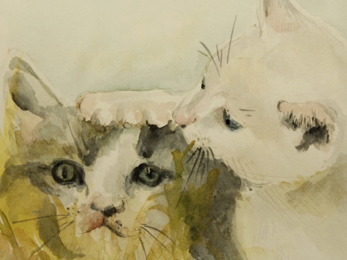 Aquarel schilderij van twee katten in pasteltinten  in houten lijst gesigneerd in potlood - foto 6
