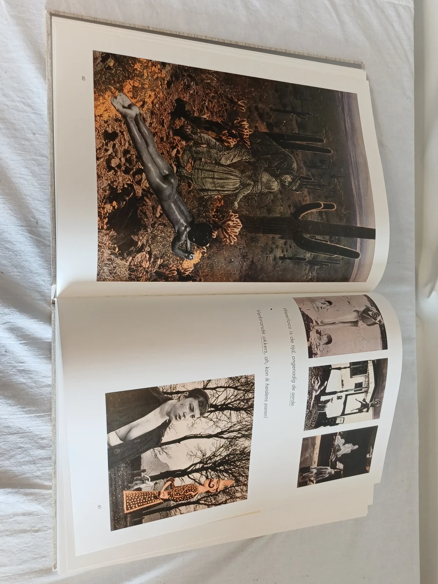 Kunstboek Hugo Claus "Beelden" - foto 4
