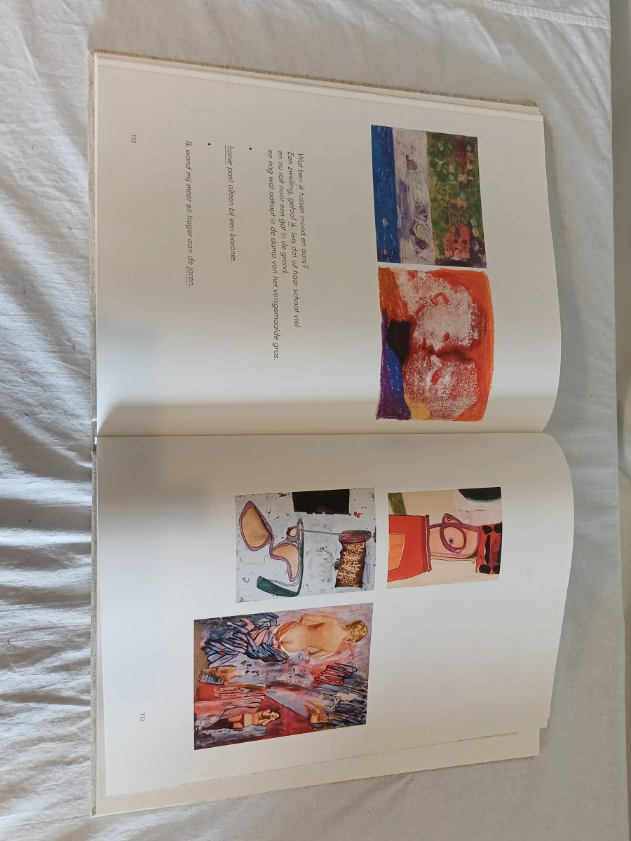 Kunstboek Hugo Claus "Beelden" - foto 5