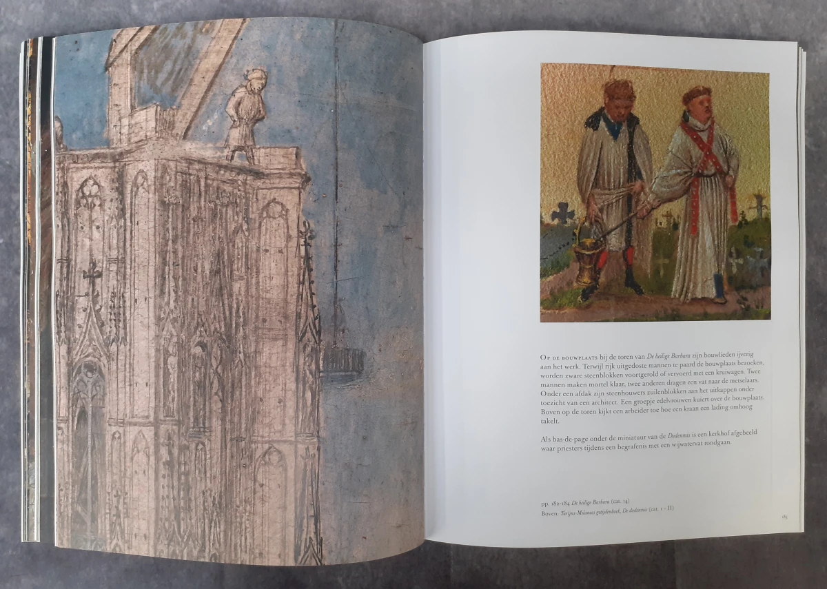 Boek: Van Eyck in detail - foto 7