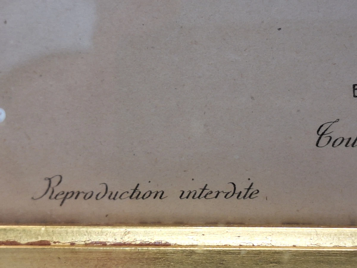 Set van 2 antieke Franse 3D-modeprenten - La Mode Illustrée - circa 1880 - foto 15