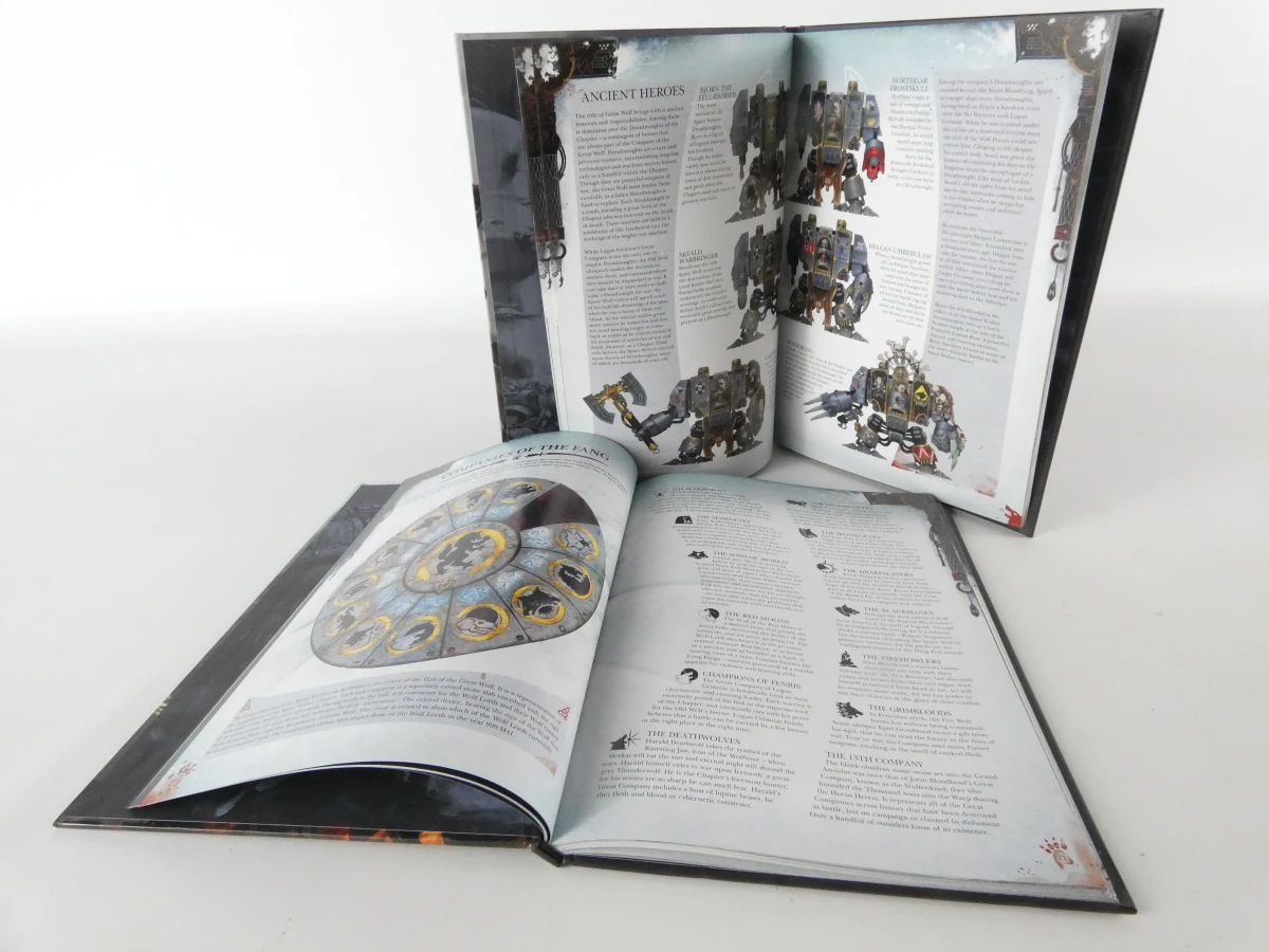 Warhammer 40,000-boeken en miniaturen - Space Wolves-factie - foto 12
